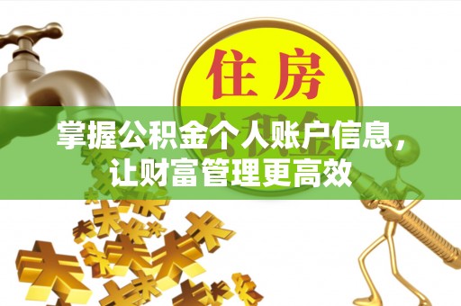 双滦掌握公积金个人账户信息，让财富管理更高效