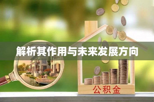 双滦解析其作用与未来发展方向