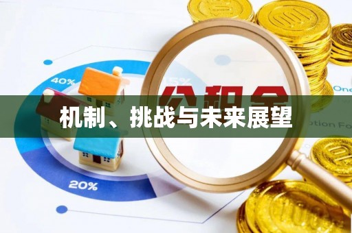 双滦机制、挑战与未来展望