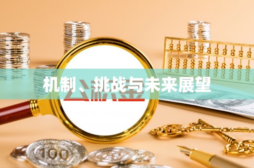 双滦机制、挑战与未来展望