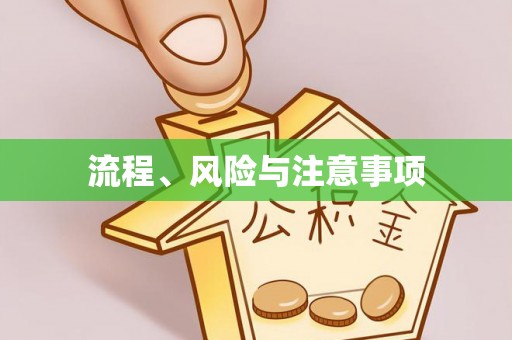 双滦流程、风险与注意事项