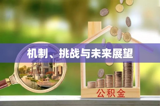 双滦机制、挑战与未来展望